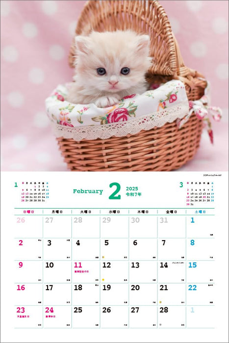 Too Cute Cat Calendar 2025