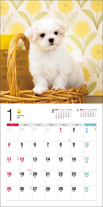 2026 Maltese Calendar