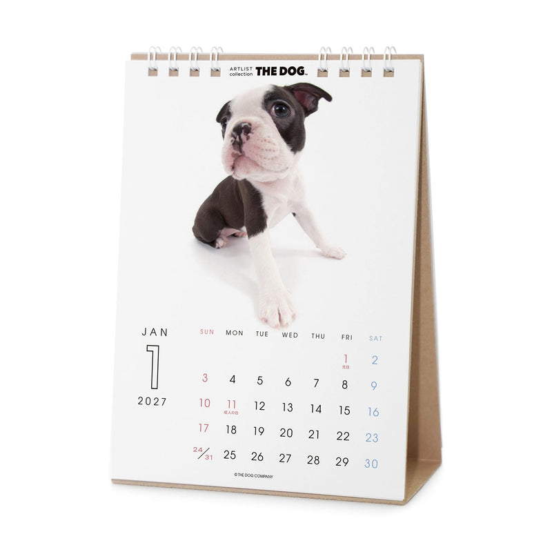 THE DOG 2027 Desk Calendar [Boston Terrier]