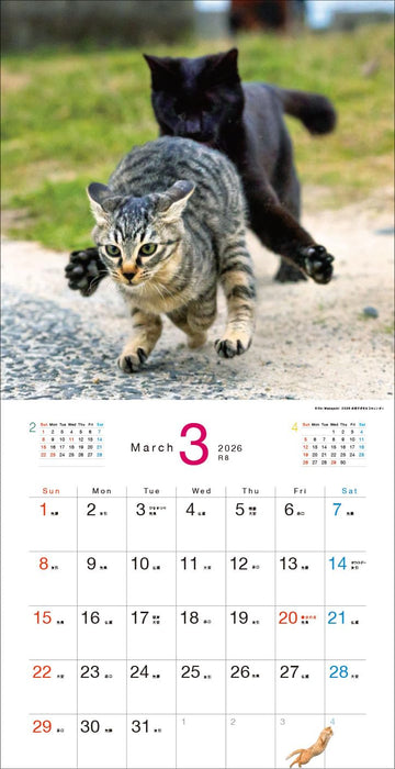 2026 Desperately Determined Cats Calendar