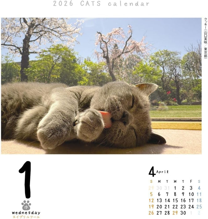 CO2 Cats 2026 Page-A-Day Calendar Refill CK-C26-02