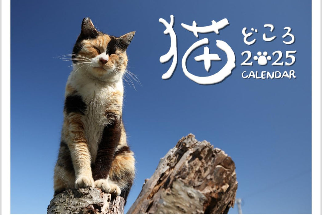 Neko Dokoro Calendar 2025