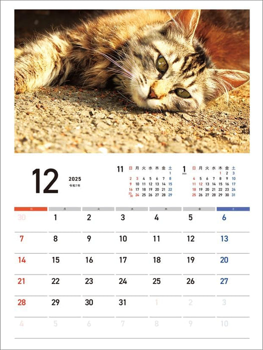 Hagoromo Charity Calendar Relaxing Cat 2025 Wall Calendar CL25-0686