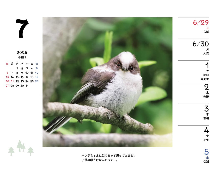 Shimaenaga and Friends of the Forest Weekly Desk Calendar 2025