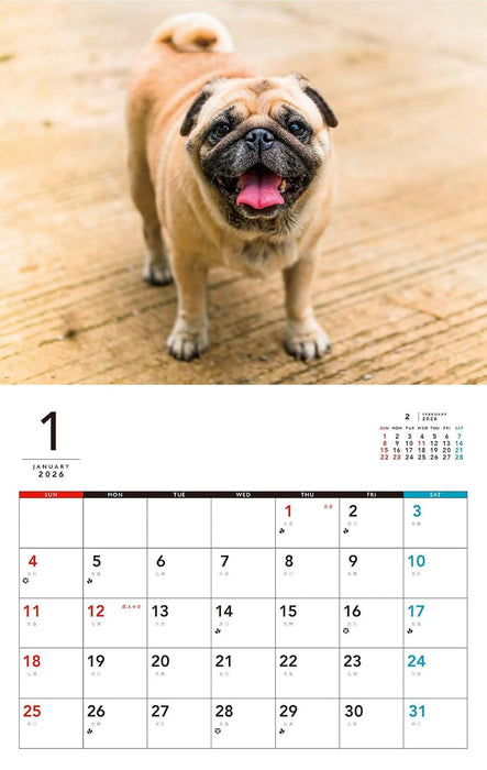 I LOVE Pug Calendar 2026 (Monthly/Wall Calendar)