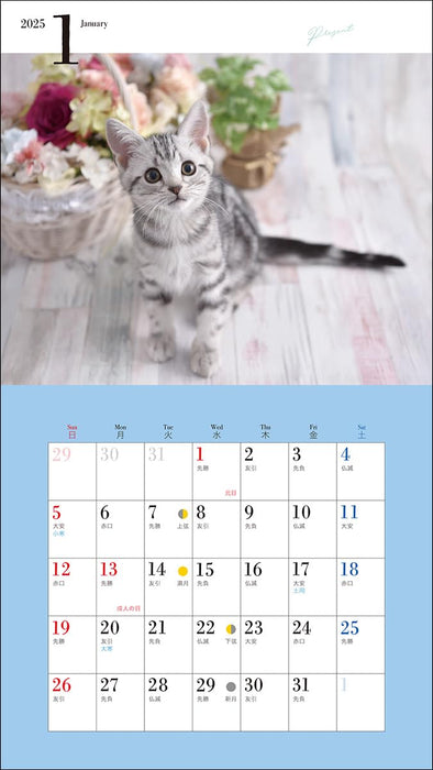 2025 Cute Kittens Calendar