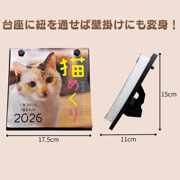 CO2 Cats 2026 Page-A-Day Calendar CK-C26-01