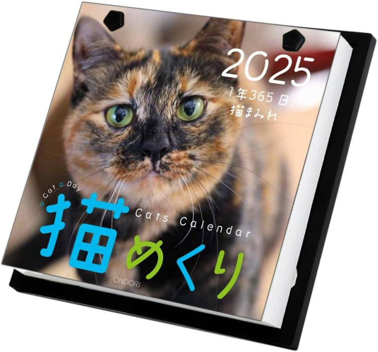 CO2 Cats 2025 Page-A-Day Calendar CK-C25-01