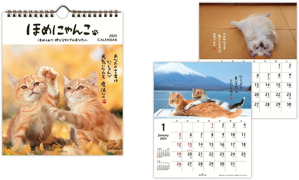 Hallmark 2025 Wall Calendar Homenyanko Small 834-739