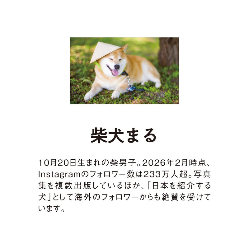 New Japan Calendar 2027 Wall Calendar  Shiba Inu Maru Small NK4010