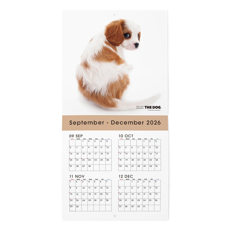 THE DOG 2027 Wall Calendar Mini Size [Cavalier King Charles Spaniel]