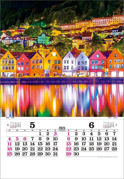 Todan 2025 Wall Calendar Illumination (Film) CL25-1079