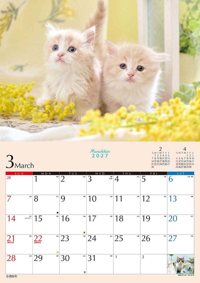 Try-X 2027 Wall Calendar Kitten Munchkin 27CL-382 51x36cm