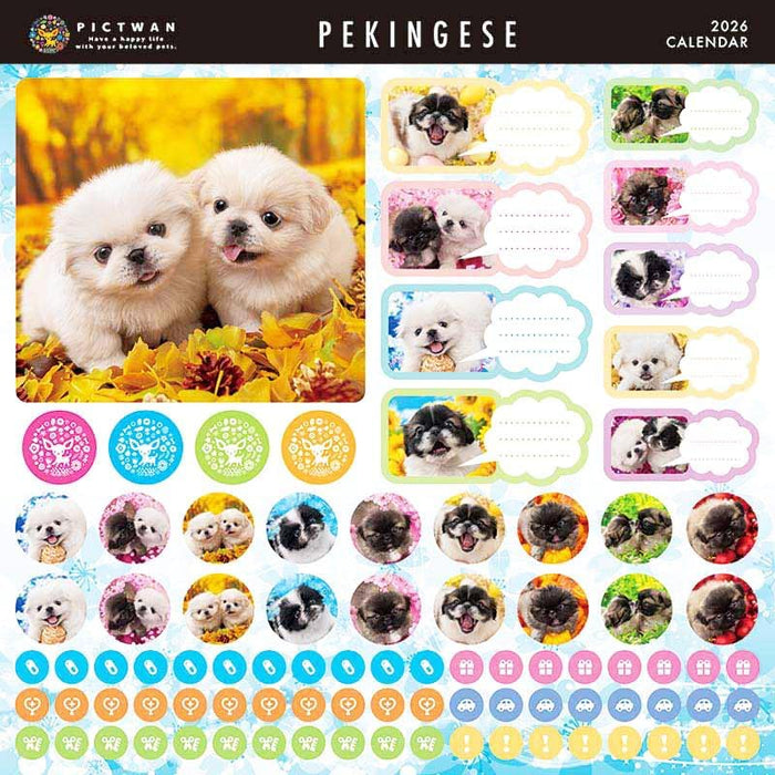 PICTWAN 2026 Calendar L Edition Pekingese