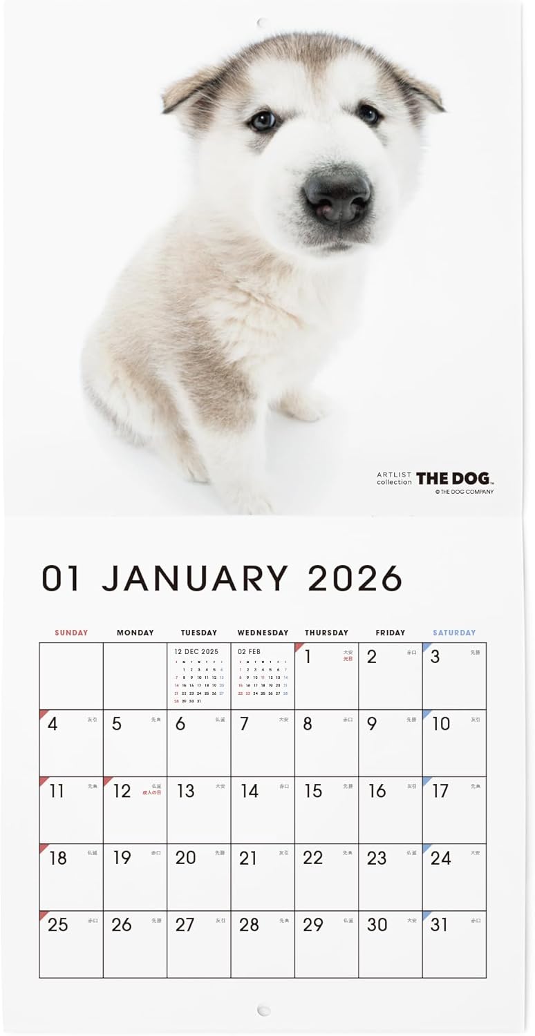 THE DOG 2026 Wall Calendar Mini Size Trio [Akita Dog/Alaskan Malamute/Flat-Coated Retriever]