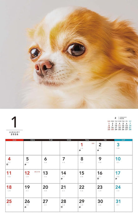 I LOVE Chihuahua Calendar 2026 (Monthly/Wall Calendar)