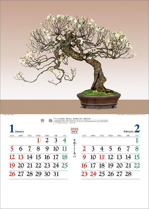 Todan 2025 Wall Calendar Japanese Heart Bonsai CL25-1073