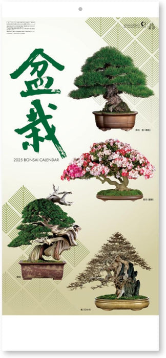 New Japan Calendar 2025 Wall Calendar Bonsai Calendar NK152 770x350mm