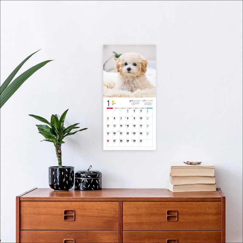 2025 Toy Poodle Calendar