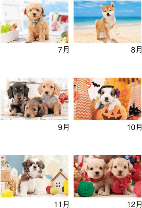 New Japan Calendar 2025 Wall Calendar Thank you! Dog NK454