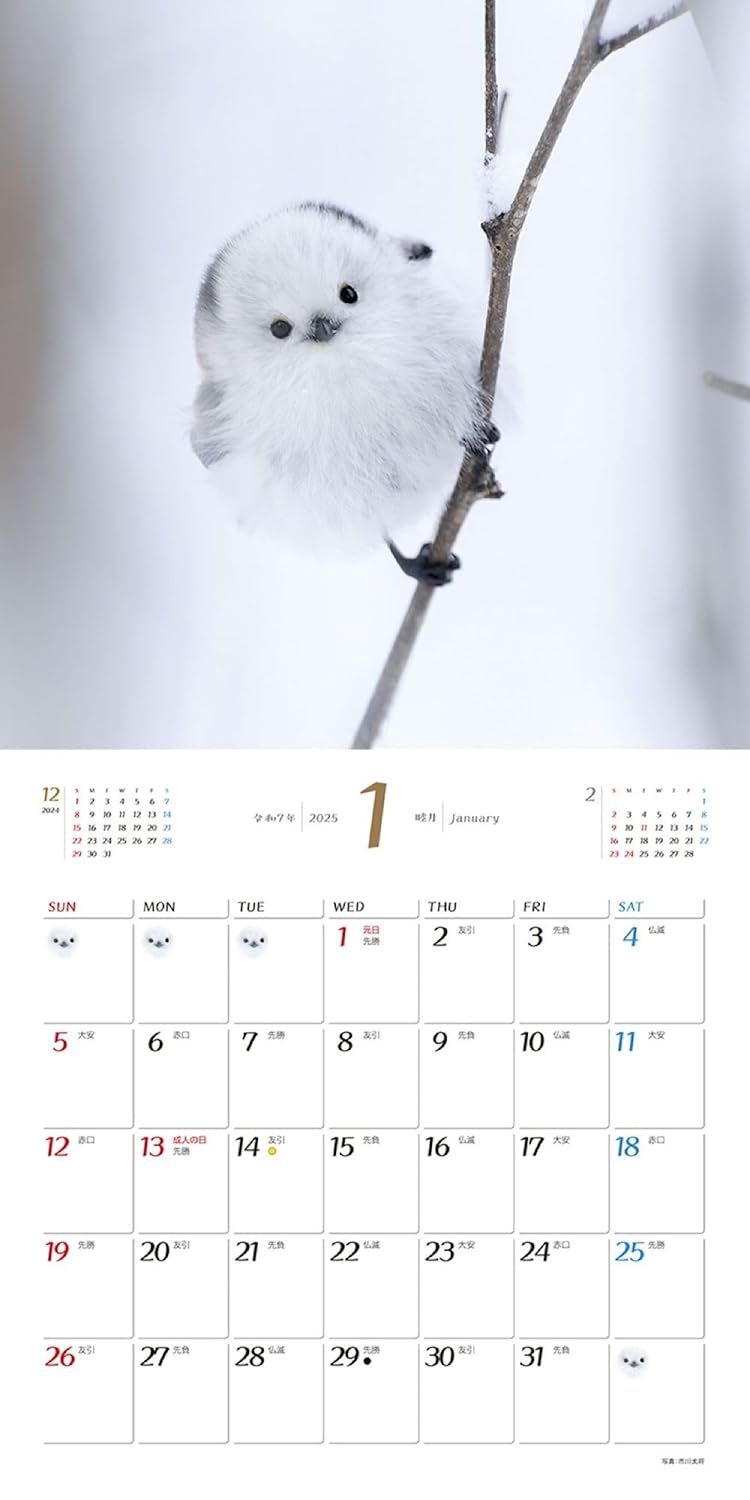 JTB Calendar Fuwa Fuwa Shimaenaga 2025 Wall Calendar