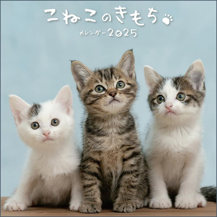 Koneko no Kimochi Calendar 2025 (Monthly/Wall Calendar)