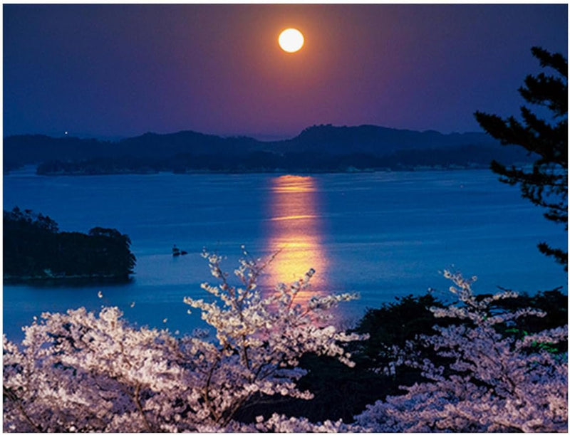 2025 FULL MOON Calendar No.051