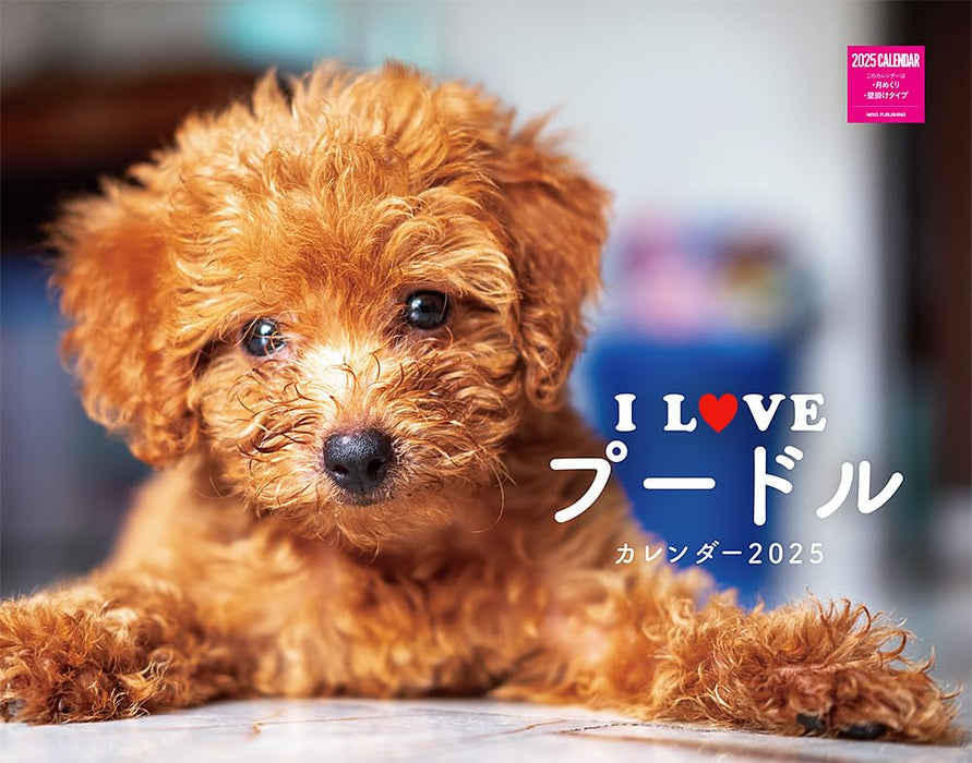 I LOVE Poodle Calendar 2025(Monthly/Wall Calendar)