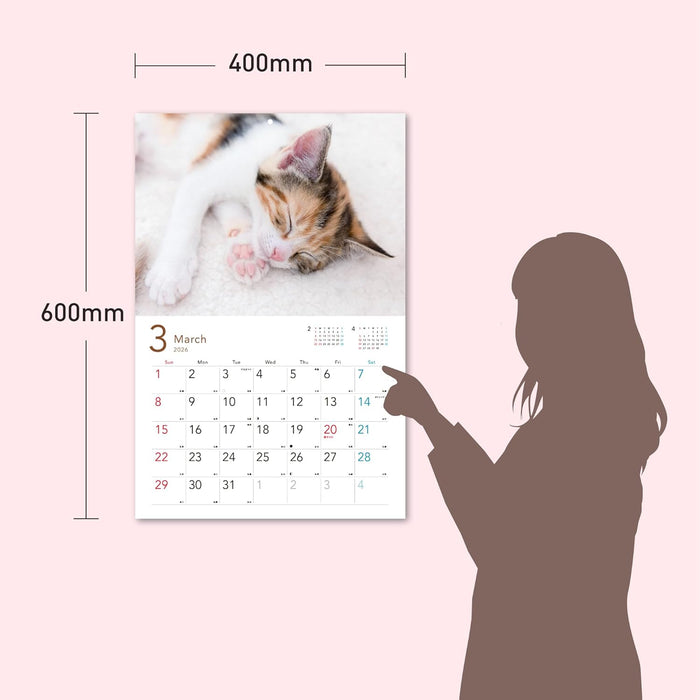 2026 Sleepy Kittens Calendar