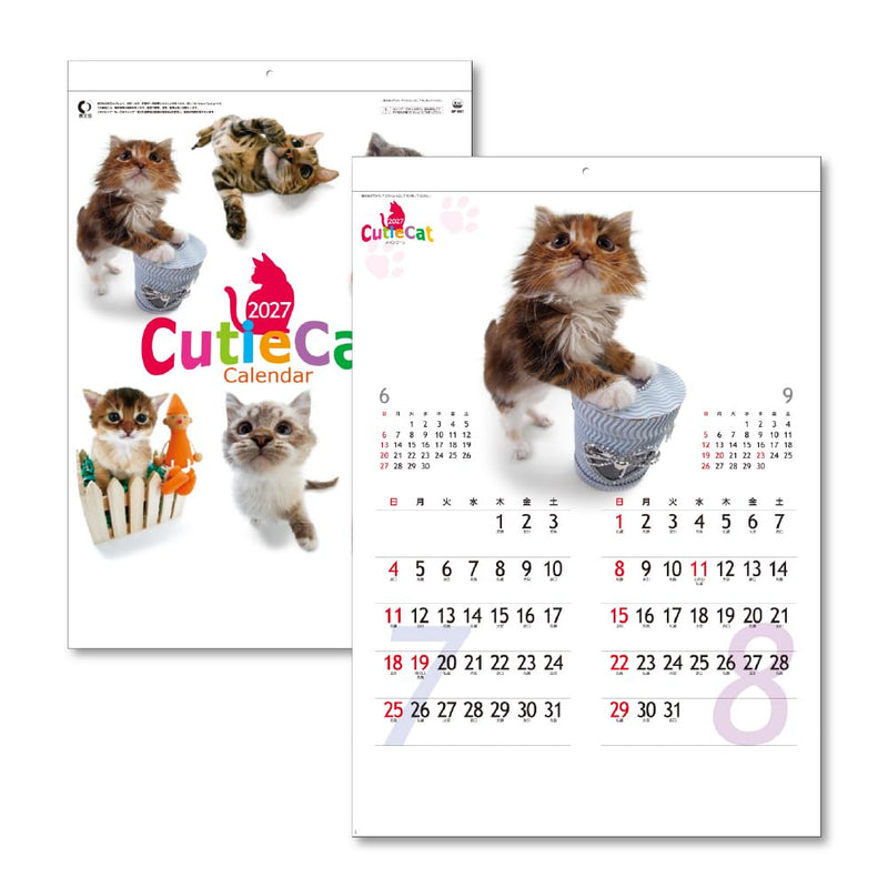 Eco Wall Calendar 2027 2-Month View Double B5 Size E91
