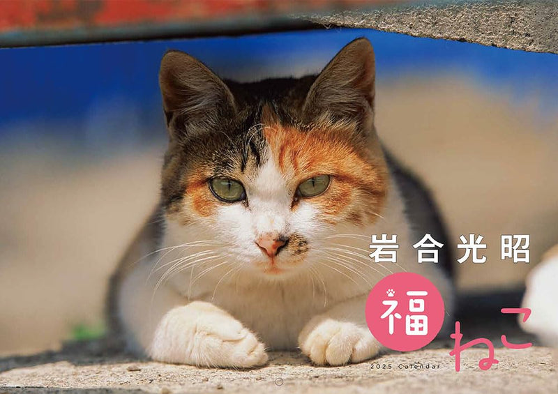 Mitsuaki Iwago Fuku Neko Calendar 2025