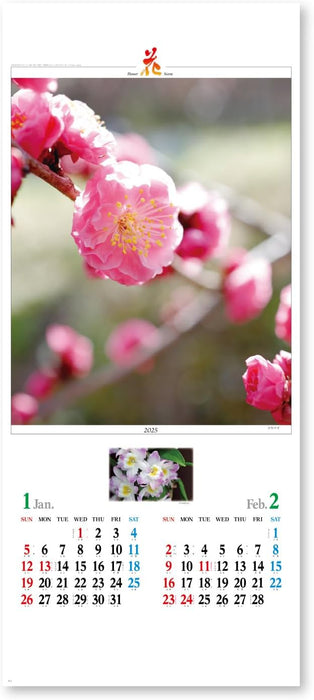 New Japan Calendar 2025 Wall Calendar Flower Scene The Beautiful Flowers of Nature NK494