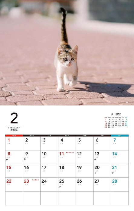 Kittens Calenddar 2026 (Monthly/Wall Calendar)