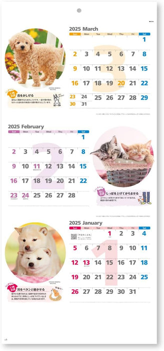 New Japan Calendar 2025 Wall Calendar Happy Chat Moji 3 Months Type NK914