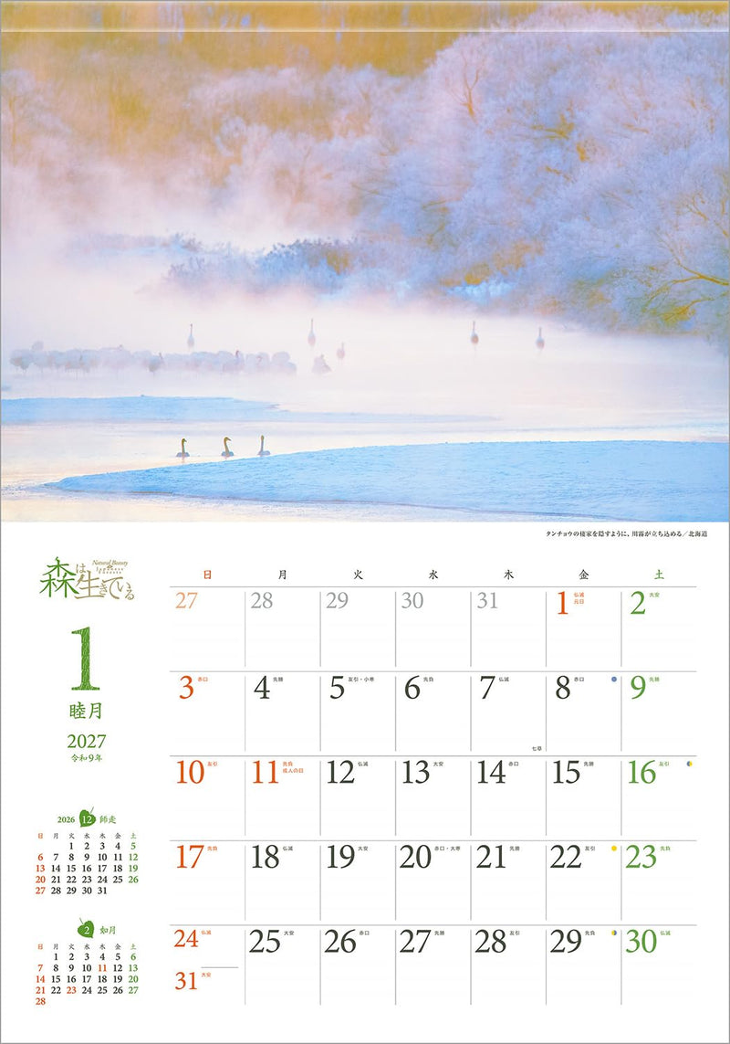 Shashin Koubou Calendar 'Natural Beatury in Japanese Forests' 2027 Wall Calendar (with Transparent Holder)