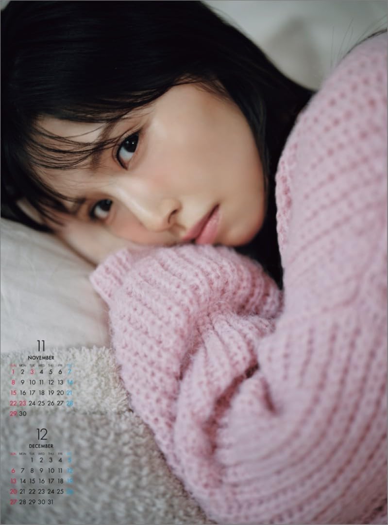 Hagoromo Shio Kisui 2026 Wall Calendar CL26-0209A