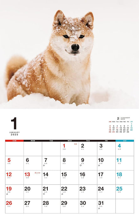 Honobono Shiba Calendar 2025 (Monthly/Wall Calendar)