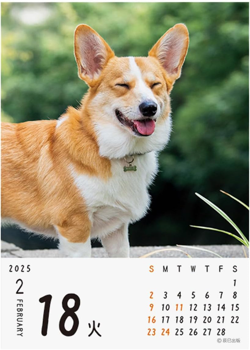 2025 Wan!! Mekuri Page-A-Day Calendar Dogs No.032