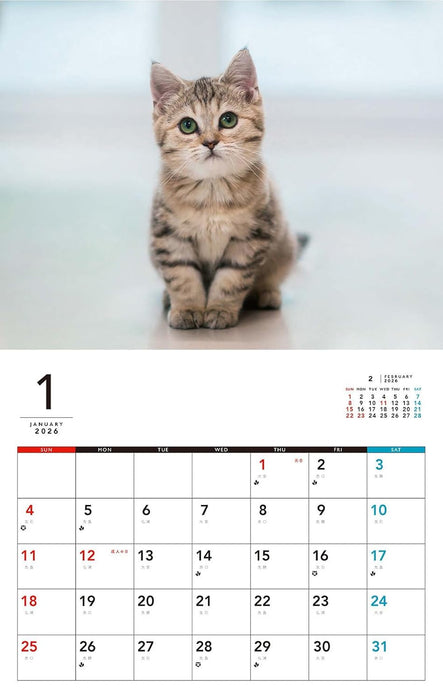 Kittens Calenddar 2026 (Monthly/Wall Calendar)