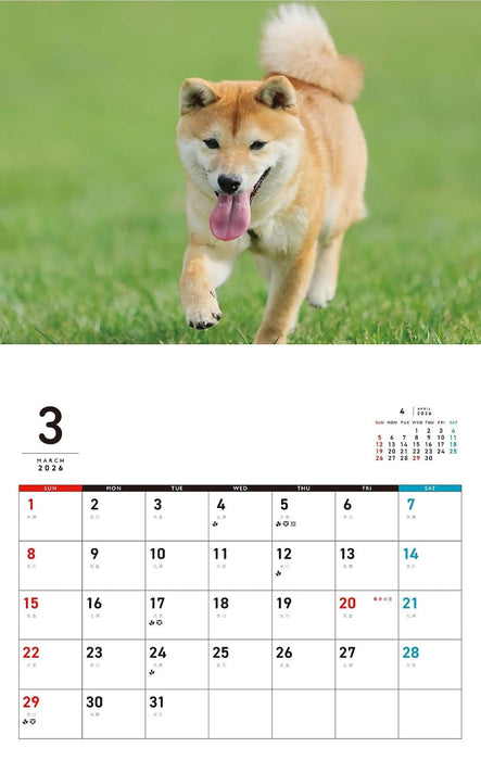 Honobono Shiba Calendar 2026 (Monthly/Wall Calendar)