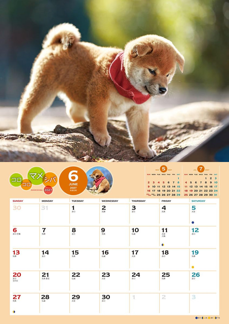 Try-X 2027 Wall Calendar Korokoro Mameshiba 27CL-381 51x36cm