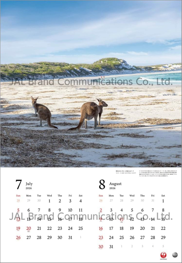 JAL 'A WORLD OF BEAUTY' (Large Size) 2026 Wall Calendar CL25-1131
