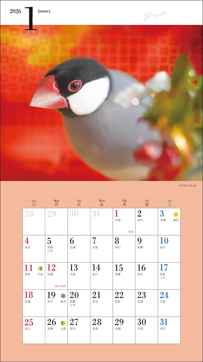 2026 Adorable Java Sparrow Calendar (Seibundo-shinkosha Calendar)