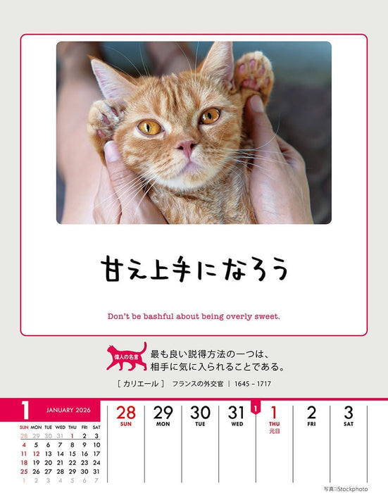 Try-X Life Works Itself Out! 2026 Desk Wall Calendar CL-384 18 x 14cm