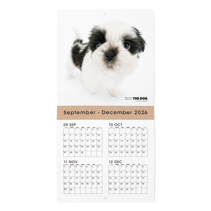 THE DOG 2027 Wall Calendar Mini Size [Shih Tzu]