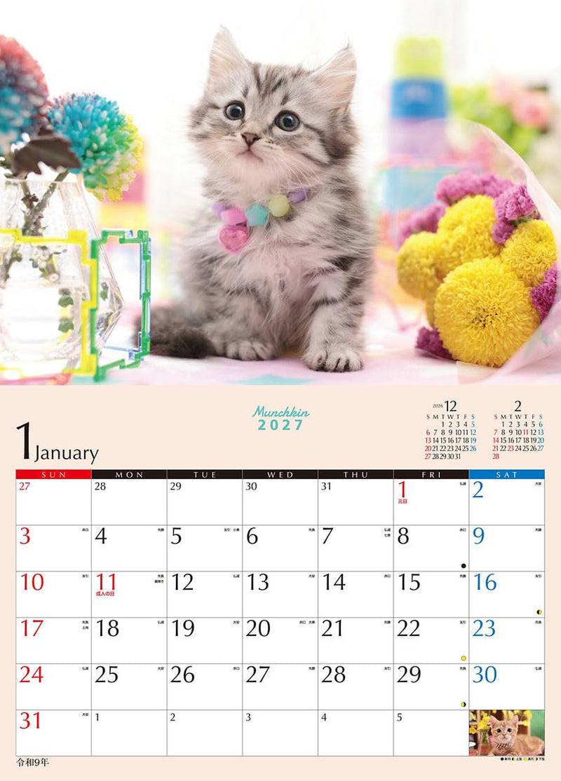 Try-X 2027 Wall Calendar Kitten Munchkin 27CL-382 51x36cm