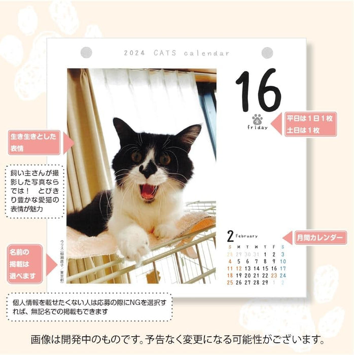 CO2 Cats 2025 Page-A-Day Calendar Refill CK-C25-02