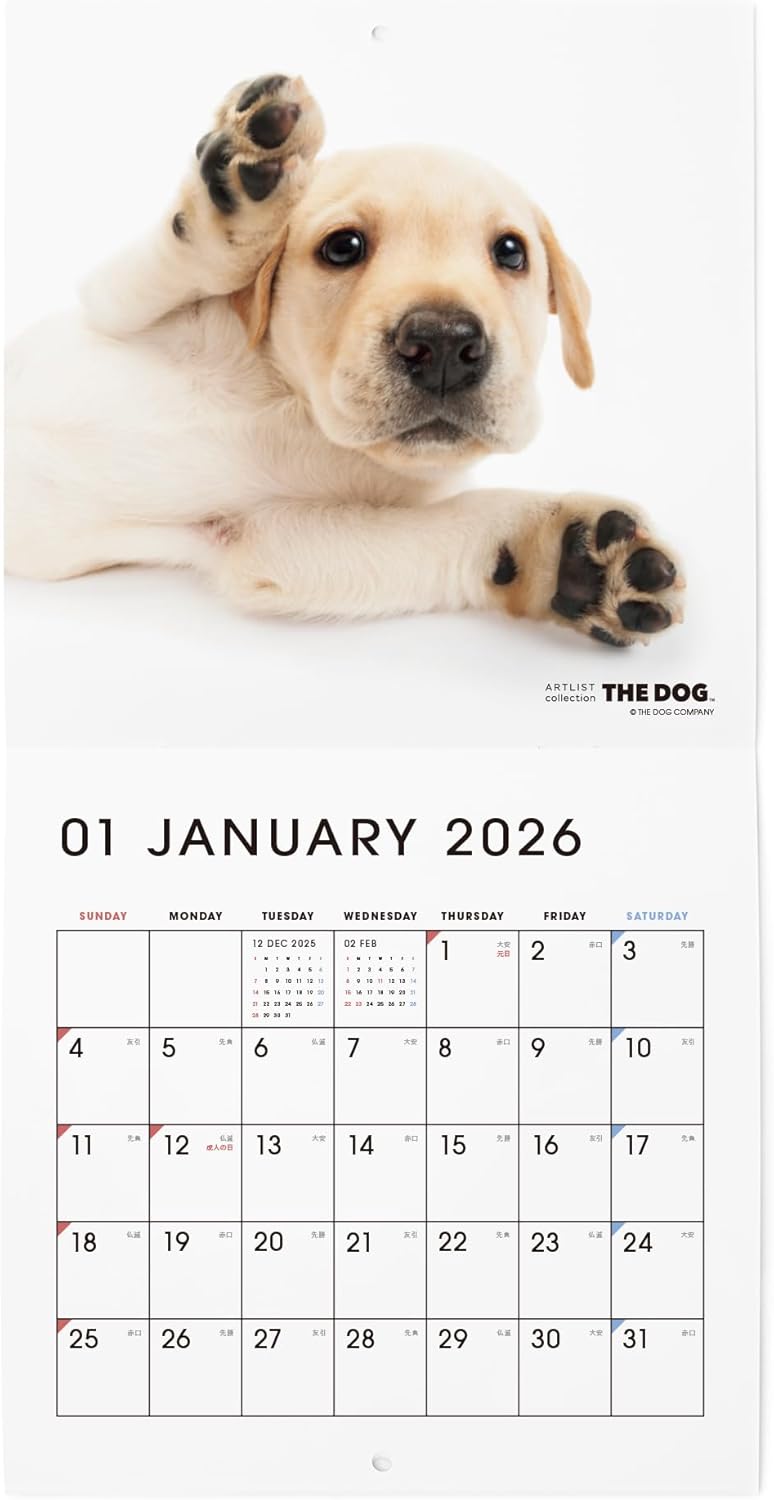 THE DOG 2026 Wall Calendar Mini Size [Labrador Retriever]