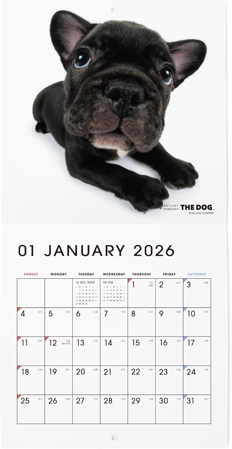 THE DOG 2026 Wall Calendar Mini Size [French Bulldog]