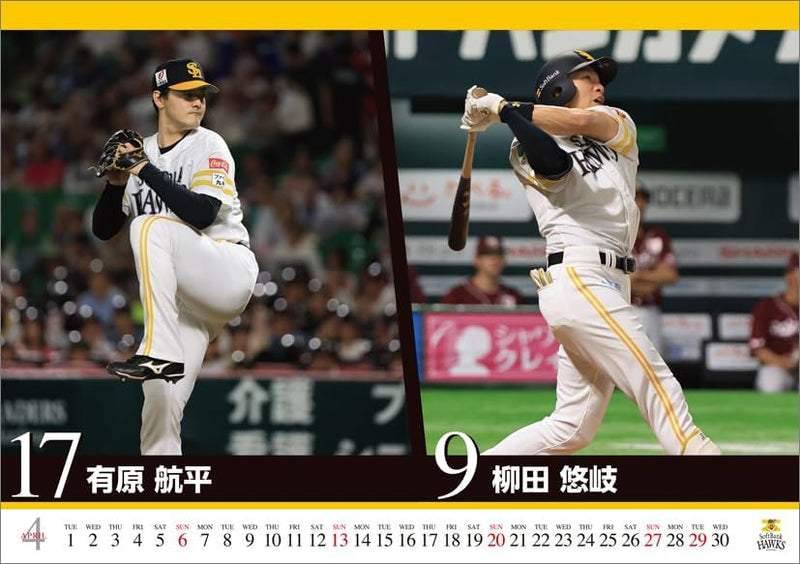Hagoromo Fukuoka Softbank Hawks 2025 Desk Calendar CL25-0590